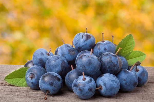 Mucchio di bacche di biancospino con foglie su un tavolo di legno sfondo giardino sfocato — Foto Stock