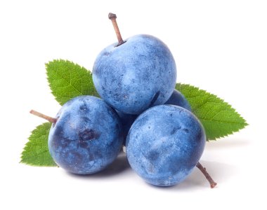 taze karaçalı meyveleri ile yaprakları üzerinde izole beyaz arka plan