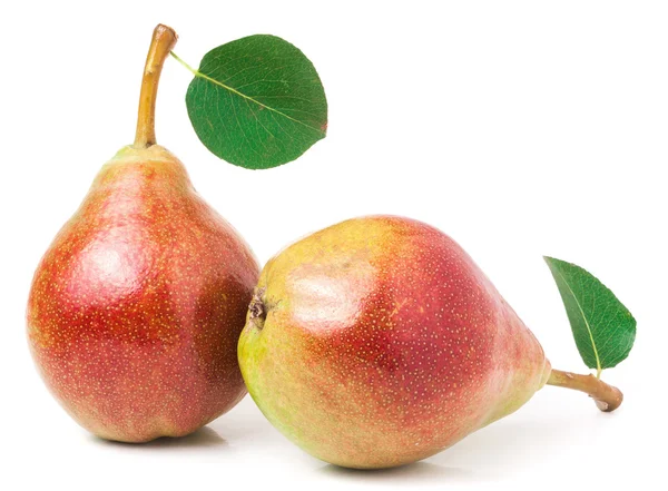 Beyaz arka plan üzerinde izole yaprak iki kırmızı armut