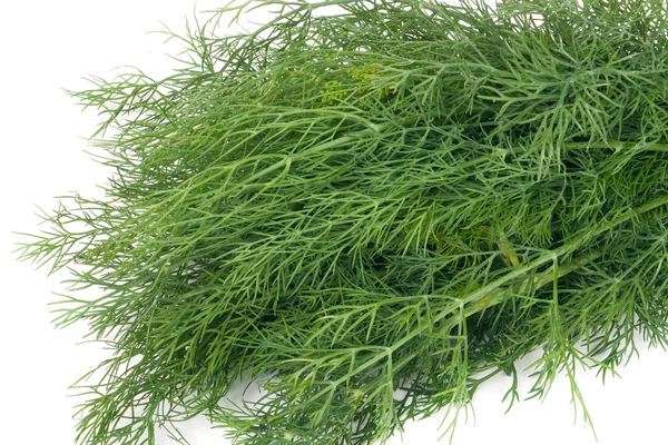 Bunch of dill isolated on a white background closeup — Stock Photo, Image