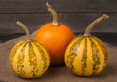 Portakal ve ahşap zemin çizgili dekoratif kabaklar