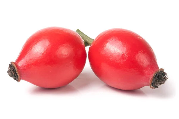 Två nypon berry isolerad på vit bakgrund — Stockfoto
