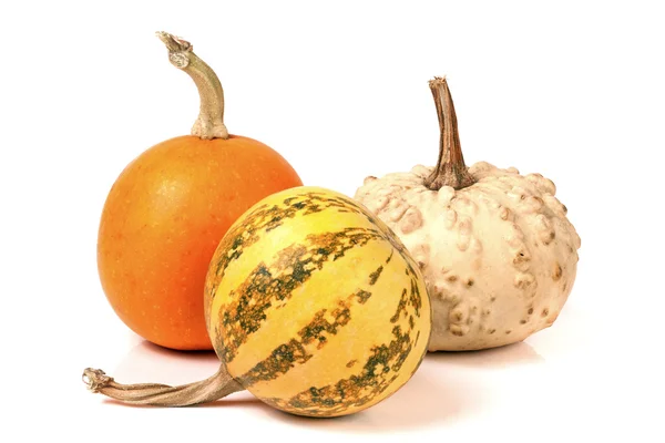 Tres calabazas decorativas aisladas sobre fondo blanco —  Fotos de Stock