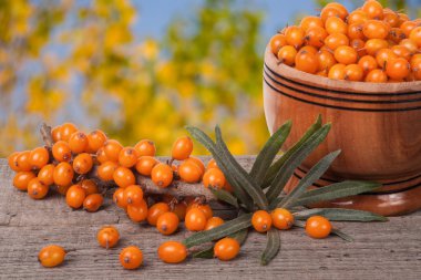 Deniz topalak meyveleri ile Bahçe arka plan bulanık tabloda ahşap bir kasede