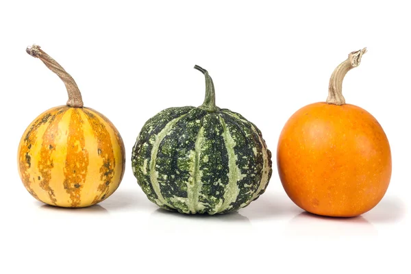 Three decorative pumpkins isolated on white background Stock Picture