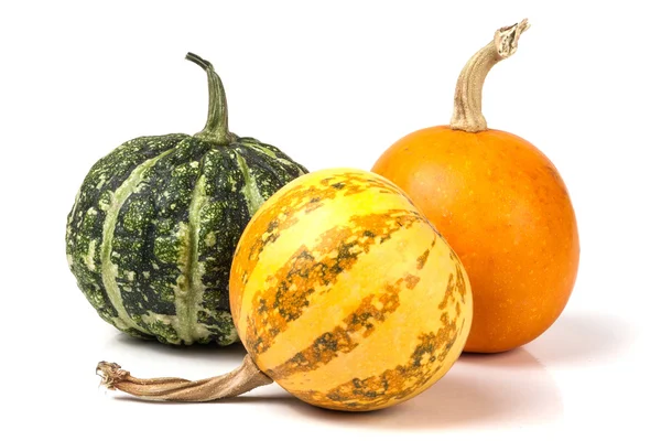 Three decorative pumpkins isolated on white background — Stock Photo, Image