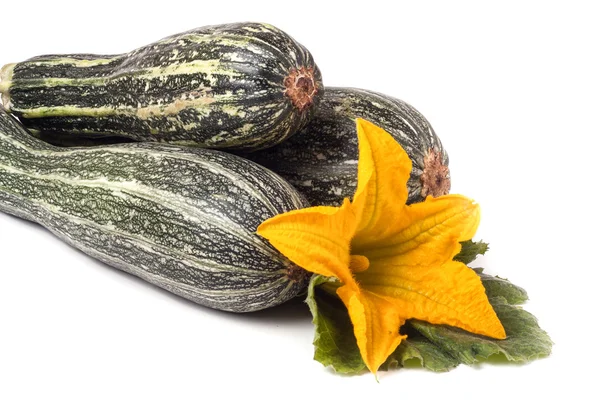 Three zucchini with leaf and flower isolated on white background — Stock Photo, Image