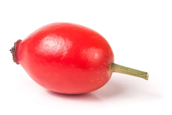 Rosa hip berry isolado no fundo branco — Fotografia de Stock