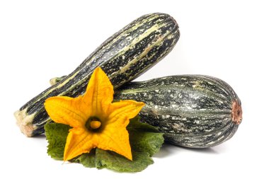 yaprak ve çiçek beyaz arka plan üzerinde izole iki kabak