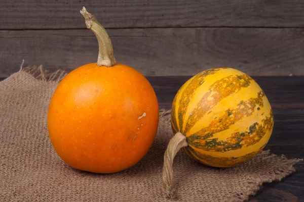 Citrouilles décoratives orange et rayées sur un fond en bois — Photo