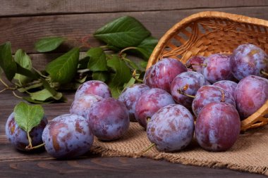 Erik çul ahşap zemin üzerine bir hasır sepet içinde