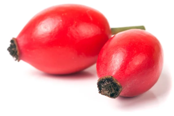 Dva šípkovou berry izolovaných na bílém pozadí — Stock fotografie