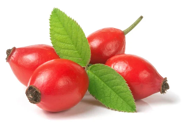 Rose hip berry dengan daun terisolasi pada latar belakang putih — Stok Foto