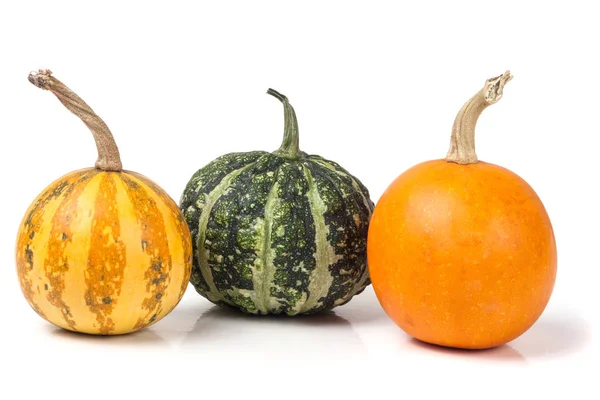 Tres calabazas decorativas aisladas sobre fondo blanco —  Fotos de Stock