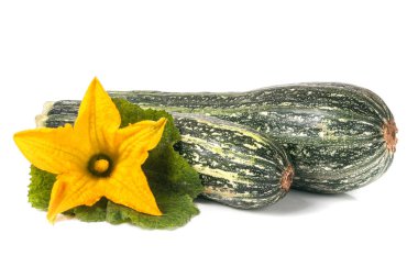 yaprak ve çiçek beyaz arka plan üzerinde izole iki kabak