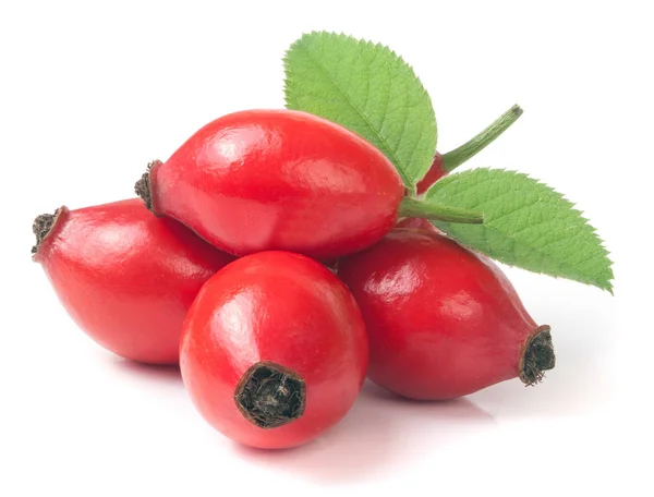 Rose hip berry dengan daun terisolasi pada latar belakang putih — Stok Foto