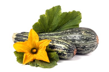 yaprak ve çiçek beyaz arka plan üzerinde izole iki kabak