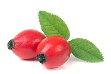 Beyaz zemin üzerinde yaprak izole gül kalça üzümü