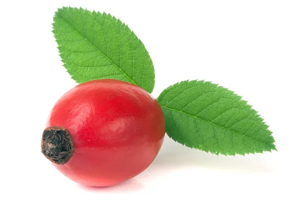 Рожева хіп-хоп ягода з листом ізольована на білому тлі — стокове фото
