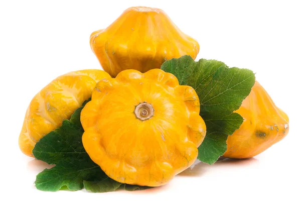 4 잎 흰색 배경에 고립 pattypan 스쿼시 노란색 — 스톡 사진