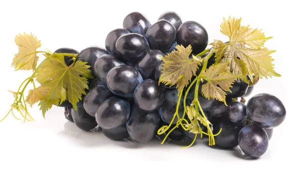 Bunch of blue grapes with leaf isolated on white background — Stock Photo, Image