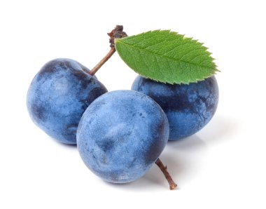 taze karaçalı meyveleri ile yaprakları üzerinde izole beyaz arka plan