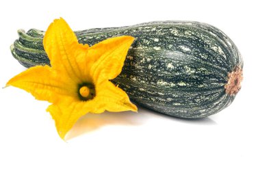 beyaz arkaplanda izole edilmiş çiçekli kabak