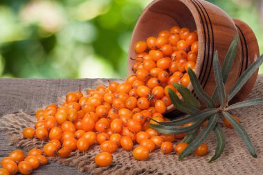 Deniz topalak meyveleri ile Bahçe arka plan bulanık tabloda ahşap bir kasede