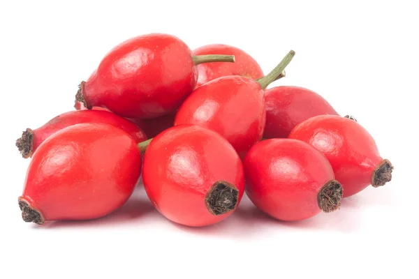 Stelletje rose hip berry geïsoleerd op witte achtergrond — Stockfoto