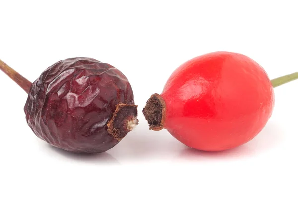 Gedroogde en verse rose hip berry geïsoleerd op witte achtergrond — Stockfoto