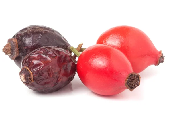 Gedroogde en verse rose hip berry geïsoleerd op witte achtergrond — Stockfoto