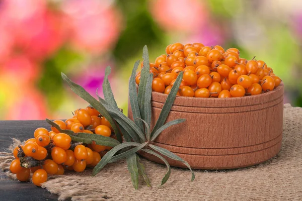 Sanddornbeeren in einer hölzernen Schüssel auf dem Tisch mit verschwommenem Gartenhintergrund — Stockfoto