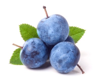 taze karaçalı meyveleri ile yaprakları üzerinde izole beyaz arka plan