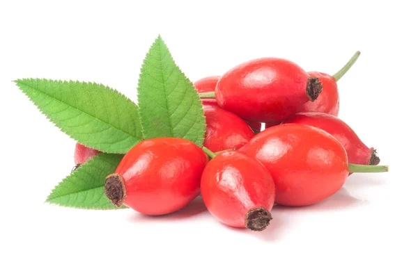 Haufen frischer Hagebuttenbeeren mit isolierten Blättern auf weißem Hintergrund — Stockfoto