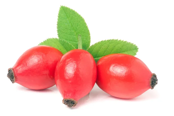 Drie frisse rose hip berry met bladeren geïsoleerd op witte achtergrond — Stockfoto