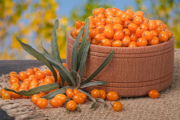 Sanddornbeeren in einer hölzernen Schüssel auf dem Tisch mit verschwommenem Gartenhintergrund — Stockfoto