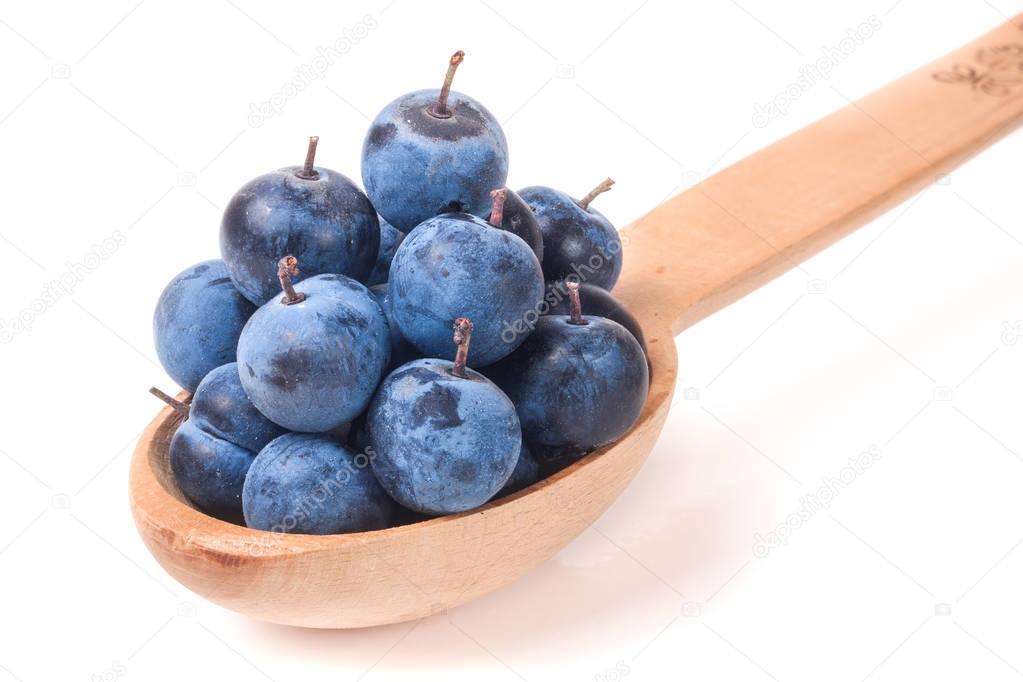 blackthorn berries in a wooden spoon isolated on white background