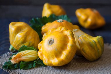 Üç yaprak ve çiçek bir koyu ahşap tablo ile pattypan kabak sarı