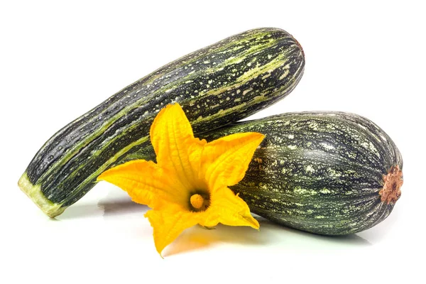 Two zucchini with flower isolated on white background — Stock Photo, Image