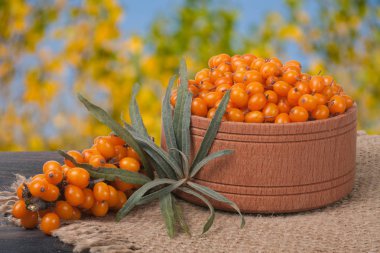 Deniz topalak meyveleri ile Bahçe arka plan bulanık tabloda ahşap bir kasede