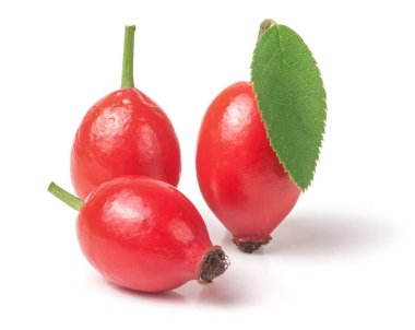 Beyaz arka plan üzerinde izole yaprak ile üç kuşburnu berry