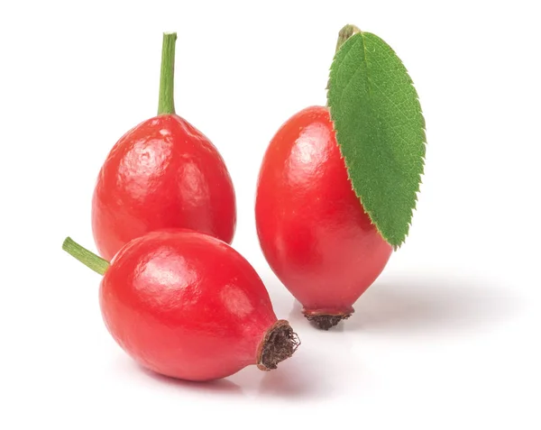 Three rose hip berry with leaf isolated on white background — Stock Photo, Image