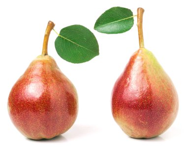 Beyaz arka plan üzerinde izole yaprak iki kırmızı armut