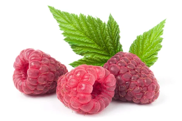 Rote Himbeeren mit Blättern auf weißem Hintergrund — Stockfoto