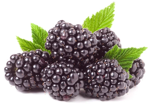 黑莓与桩叶上孤立的白色背景 — 图库照片