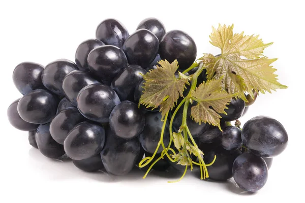 Cacho de uvas azuis com folha isolada sobre fundo branco — Fotografia de Stock