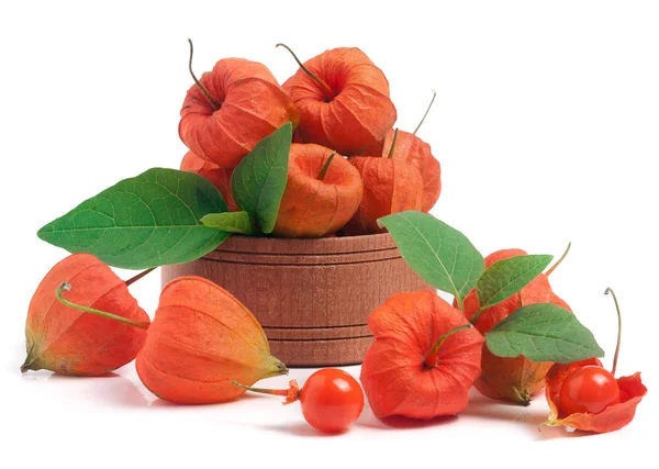 Physalis in wooden bowl isolated on white background — стоковое фото