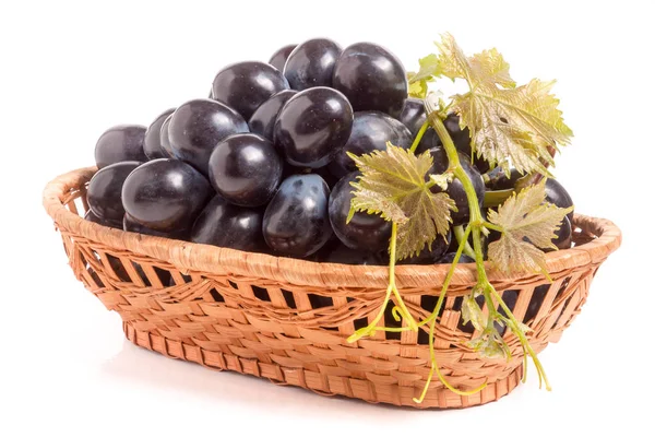 Uvas azules en una cesta de mimbre aisladas sobre fondo blanco — Foto de Stock