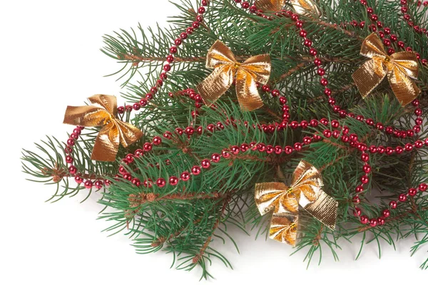 Υποκατάστημα της χριστουγεννιάτικο δέντρο με κοντές βελόνες διακοσμημένα κόκκινες χάντρες και τα τόξα που απομονώνονται σε λευκό φόντο — Φωτογραφία Αρχείου