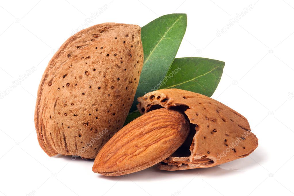 almonds in their skins and peeled with leaf isolated on white background